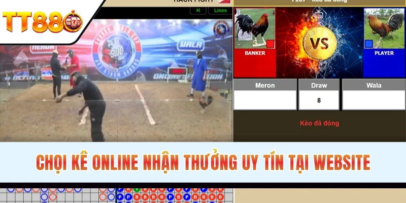 Ưu điểm hấp dẫn của đá gà TT88